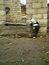 Світлана Цапельцавер фотография #24 (источник - https://vk.com/id135071319)