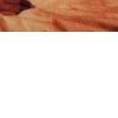 Василина Ходовіцька фотография #43 (источник - https://vk.com/id61334995)