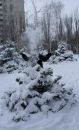 Фотография Ковальчук Ольги