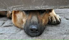 Фотография Демишевой Ирины