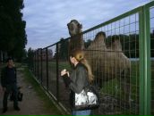 Фотография Ермаковой Анастасии