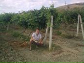 Фотография Коземаслова Игоря