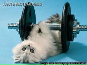 Андрій Хомищак фотография #42 (источник - https://vk.com/id70294126)