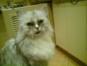 Фотография Привалова Серёги