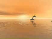 Александр Тарасов фотография #28 (источник - https://vk.com/id80823731)