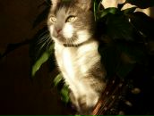 Фотография Гладкова Максима