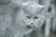 Фотография Медведева Андрея