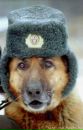 Роман Дяків фотография #25 (источник - https://vk.com/id117449845)
