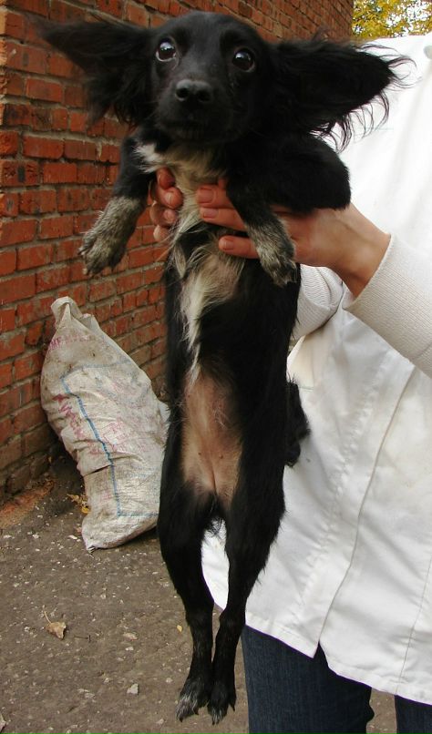 Владимир Синицын фотография #22