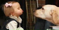 Katuwka =) фотография #5 (источник - https://vk.com/id132518399)