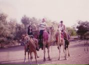 Ігор Стефлюк фотография #41 (источник - https://vk.com/id134716237)