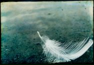 Фотография Братиловой Анастасии