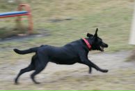 Вова Юрочкін фотография #13 (источник - https://vk.com/id15084244)