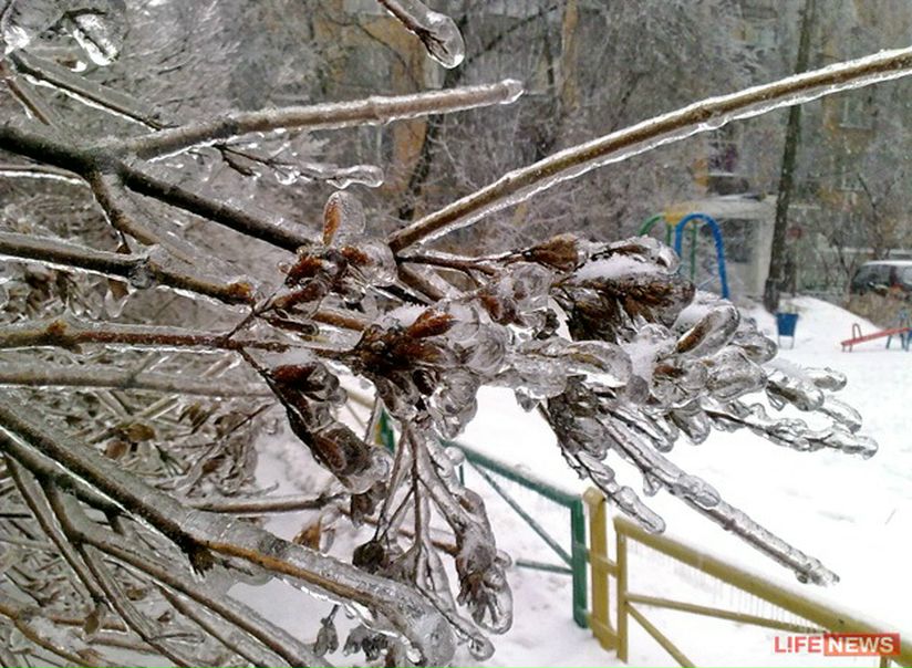 №16, Мария Михайлова, 43 года, Санкт-Петербург №16, Мария Михайлова, 43 года, Санкт-Петербург