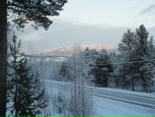 Фотография Перфильевой Татьяны