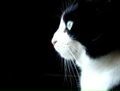 Фотография Поляковой Насти