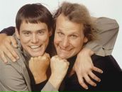 Фотография Волкова Анастасия