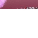 Олеся Вуйців фотография #3 (источник - https://vk.com/id74029763)