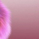 Олеся Вуйців фотография #42 (источник - https://vk.com/id74029763)