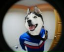 Андрій Деркаченко фотография #2 (источник - https://vk.com/id203423663)