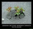 Фотография Марининой Марины