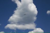 Фотография Саламатовой Анжелы