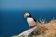 Влад Філюк фотография #7 (источник - https://vk.com/id66209351)