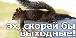 Фотография Белкина Дмитрия