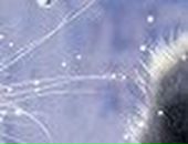 Юлія Карабчук фотография #30 (источник - https://vk.com/id75888420)