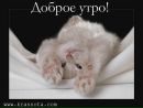 Іра Лутченко фотография #31 (источник - https://vk.com/id113735866)