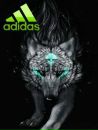 Андрій Гетман фотография #19 (источник - https://vk.com/id175630000)