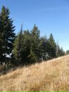 Євгений Седлер фотография #35 (источник - https://vk.com/id40152469)