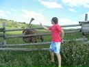 Fhn`v Wwqwq фотография #14 (источник - https://vk.com/id144074263)