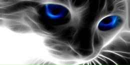 Фотография Сысоева Юры