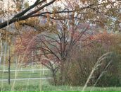 Рю Мураками фотография #31 (источник - https://vk.com/id2067589)