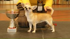 Фотография Евграфовой Вики