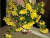 Ліля Когут фотография #28 (источник - https://vk.com/id71418373)