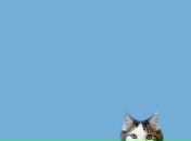 Фотография Филичева Михаила