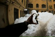 Фотография Чечкенёвой Наташи