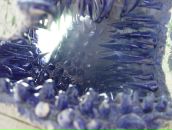 Наталія Куберська фотография #30 (источник - https://vk.com/id25056959)