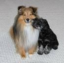 Вікторія Ворона фотография #12 (источник - https://vk.com/id159676454)