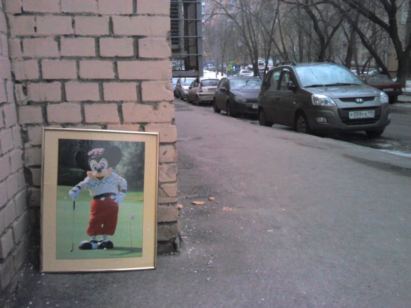 Дмитрий Ломакин фотография #22