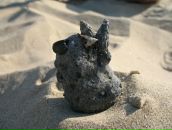 Фотография Гудовская Наталья