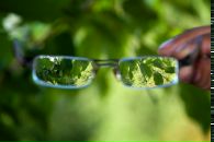 Фотография Хромцова Александра