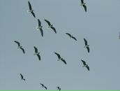 Фотография Васкецовой Светы