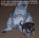 Ольга Колісник фотография #35 (источник - https://vk.com/id51250132)