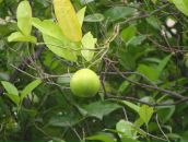 Назарій Дадак фотография #28 (источник - https://vk.com/id13822398)