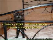 Дмитрий Недбайло фотография #21 (источник - https://vk.com/id1300758)