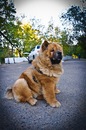Фотография Белькевича Вячеслава