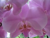 Наталія Кузенко фотография #13 (источник - https://vk.com/id8036695)